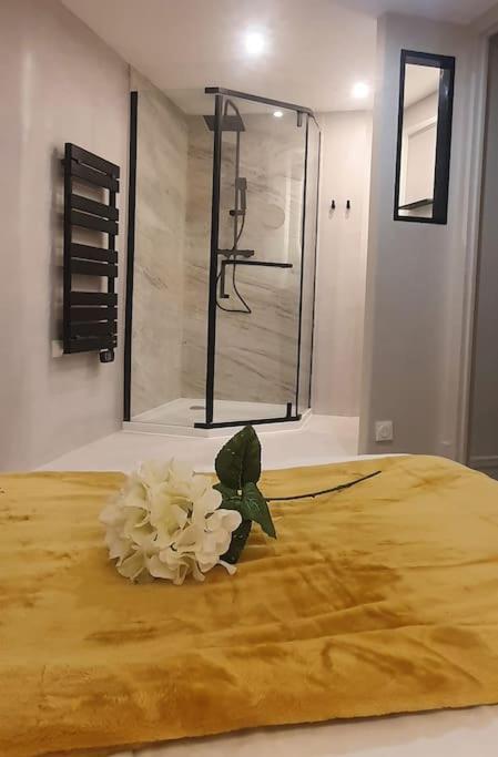 Appartement Vinicole Hypercentre, Bastille & Gare 9 Min A Pied Grenoble